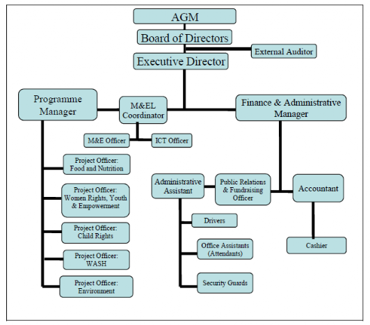 COSITA Organogram 